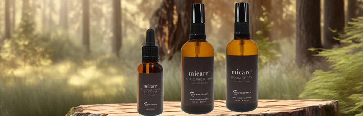 Timeless Cedar – Varme, træagtige noter med naturlig friskhed